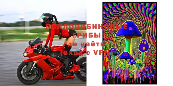 индика Алексеевка