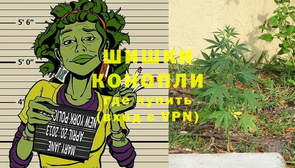 индика Алексеевка