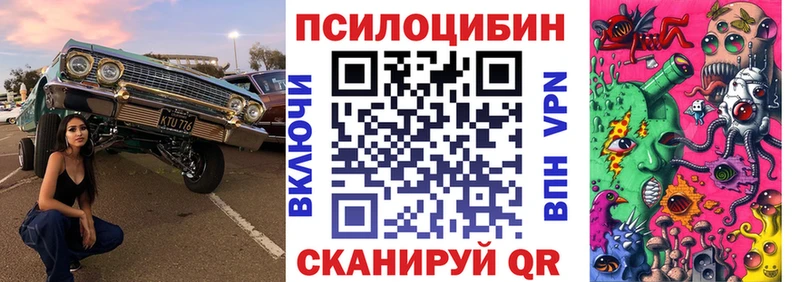продажа наркотиков  Бикин  Галлюциногенные грибы Psilocybe 